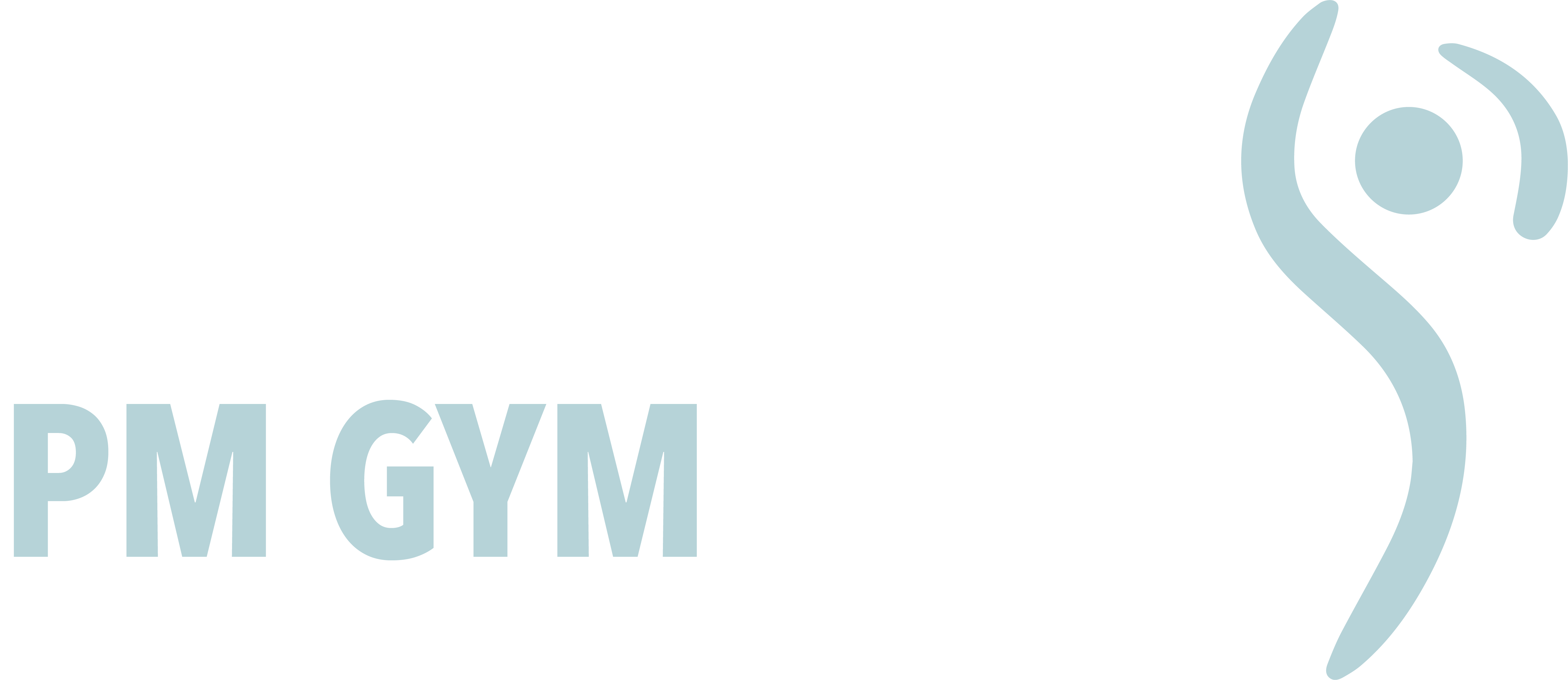 Physio Merzig Logo